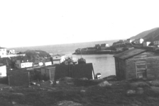 413: "View of the harbour from the hill above Mr. Bill Rose's house. You can see the corner of  our house." The schooner is Frank Ryan's. (1955) [courtesy of Mary (Reddy) King]